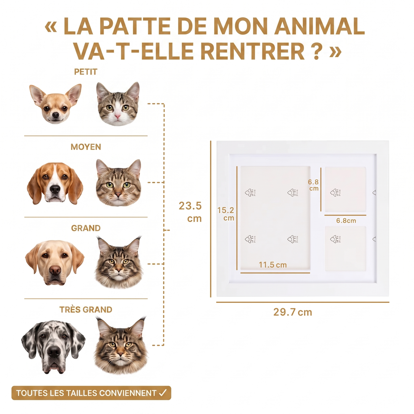 MemoPatte® Kit